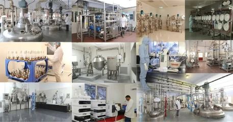 印度生物科技巨頭開啟新篇章 世界級免疫抑制劑生產商啟動IPO